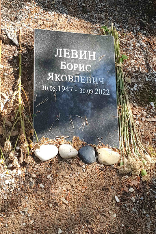 Левин Борис Яковлевич
