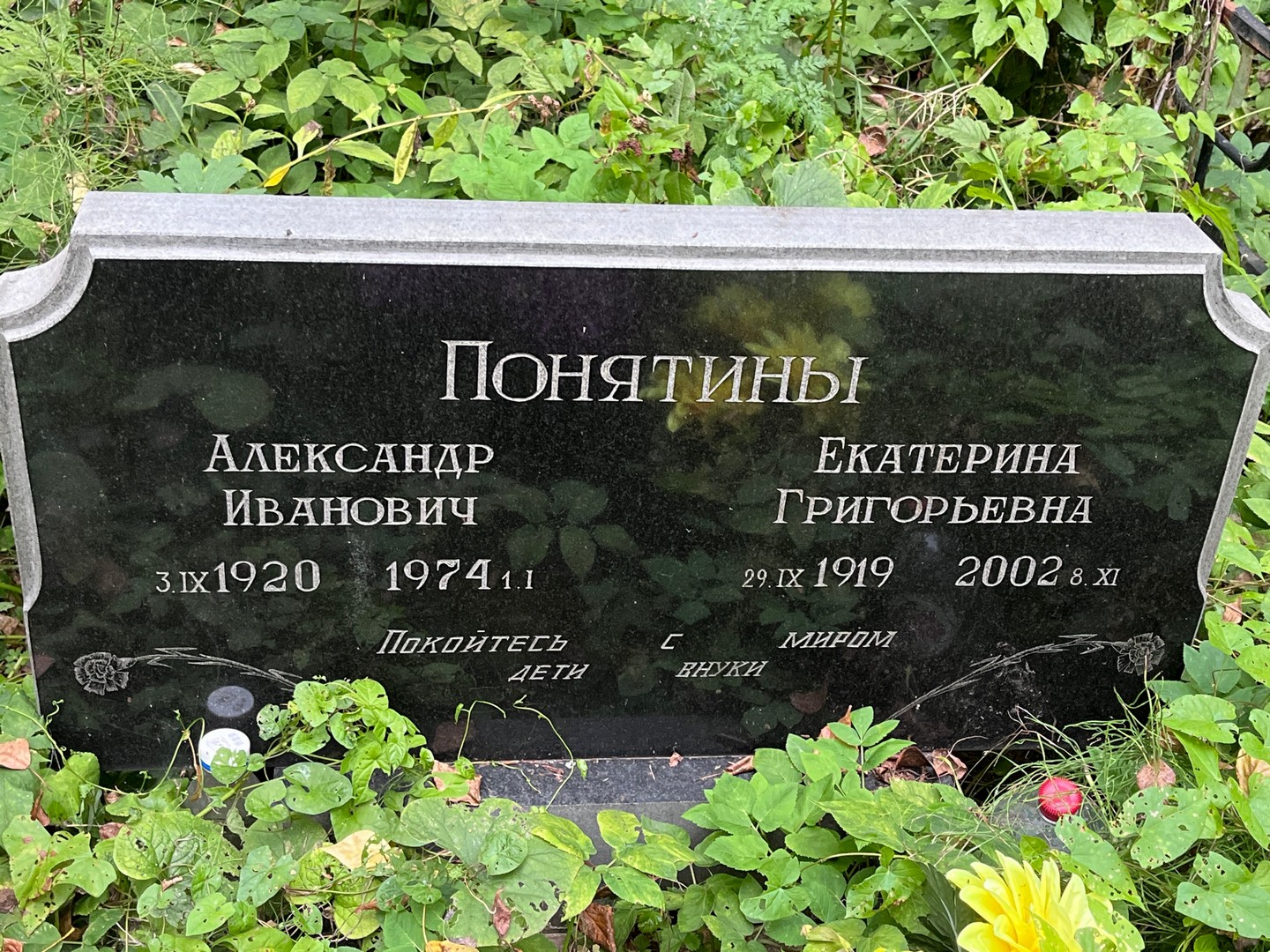 Понятина