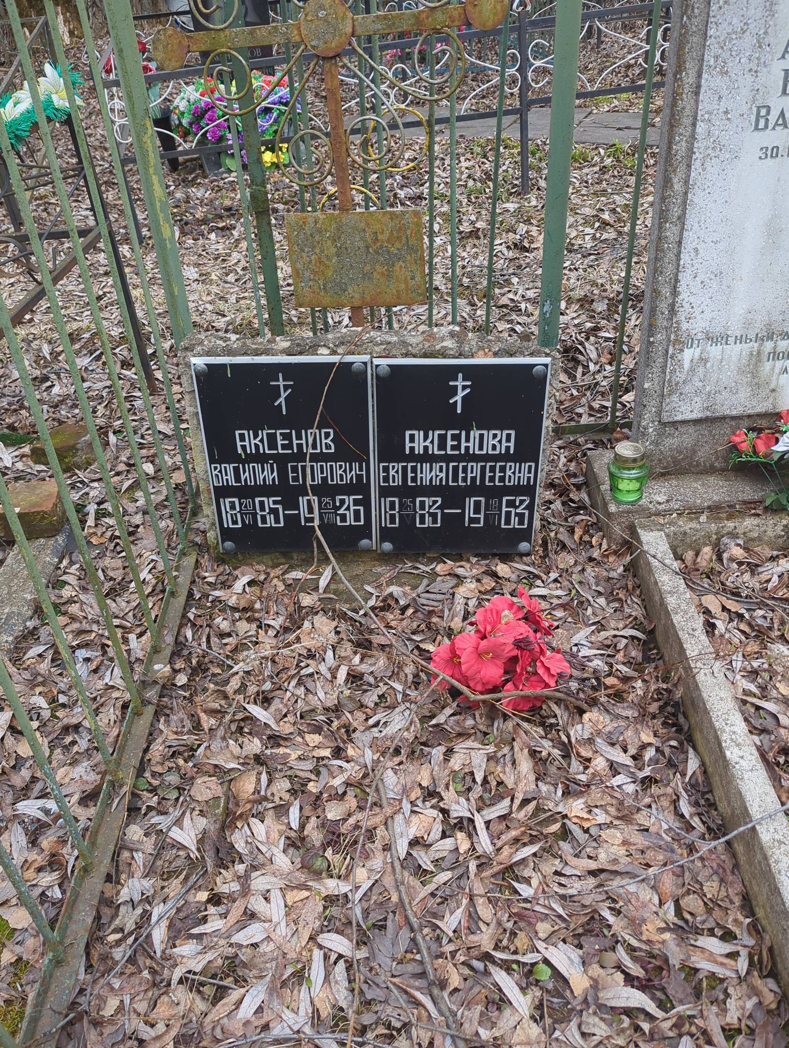 Аксенова Евгения Сергеевна