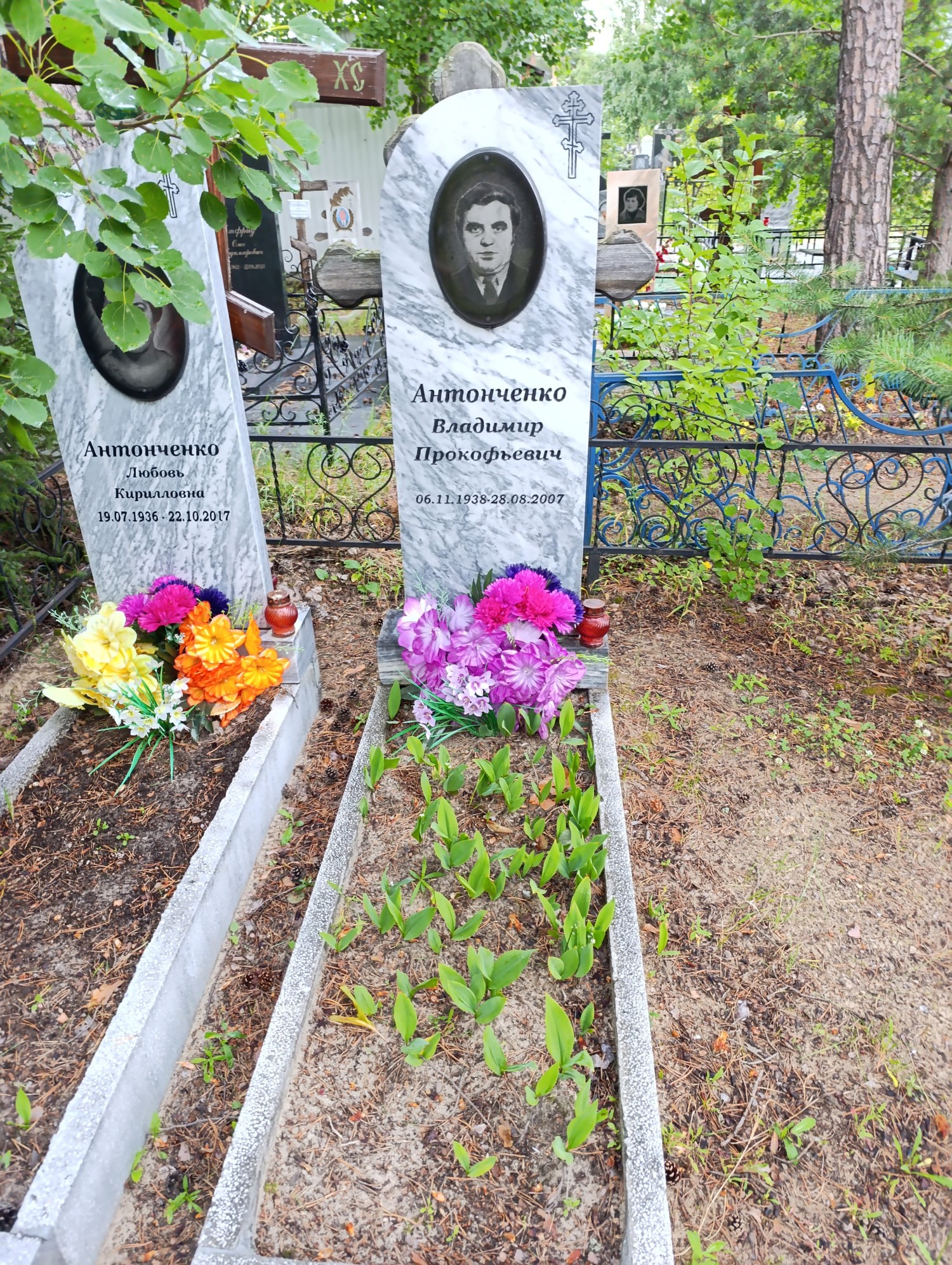 Антонченко Владимир Прокофьевич