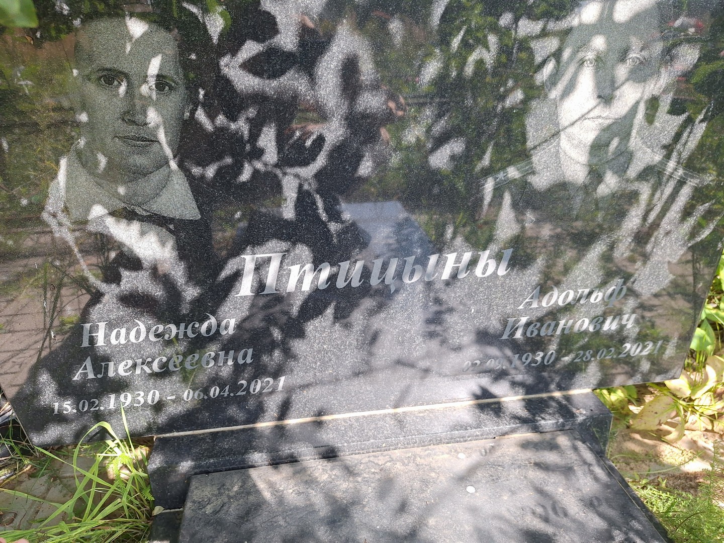 Птицына