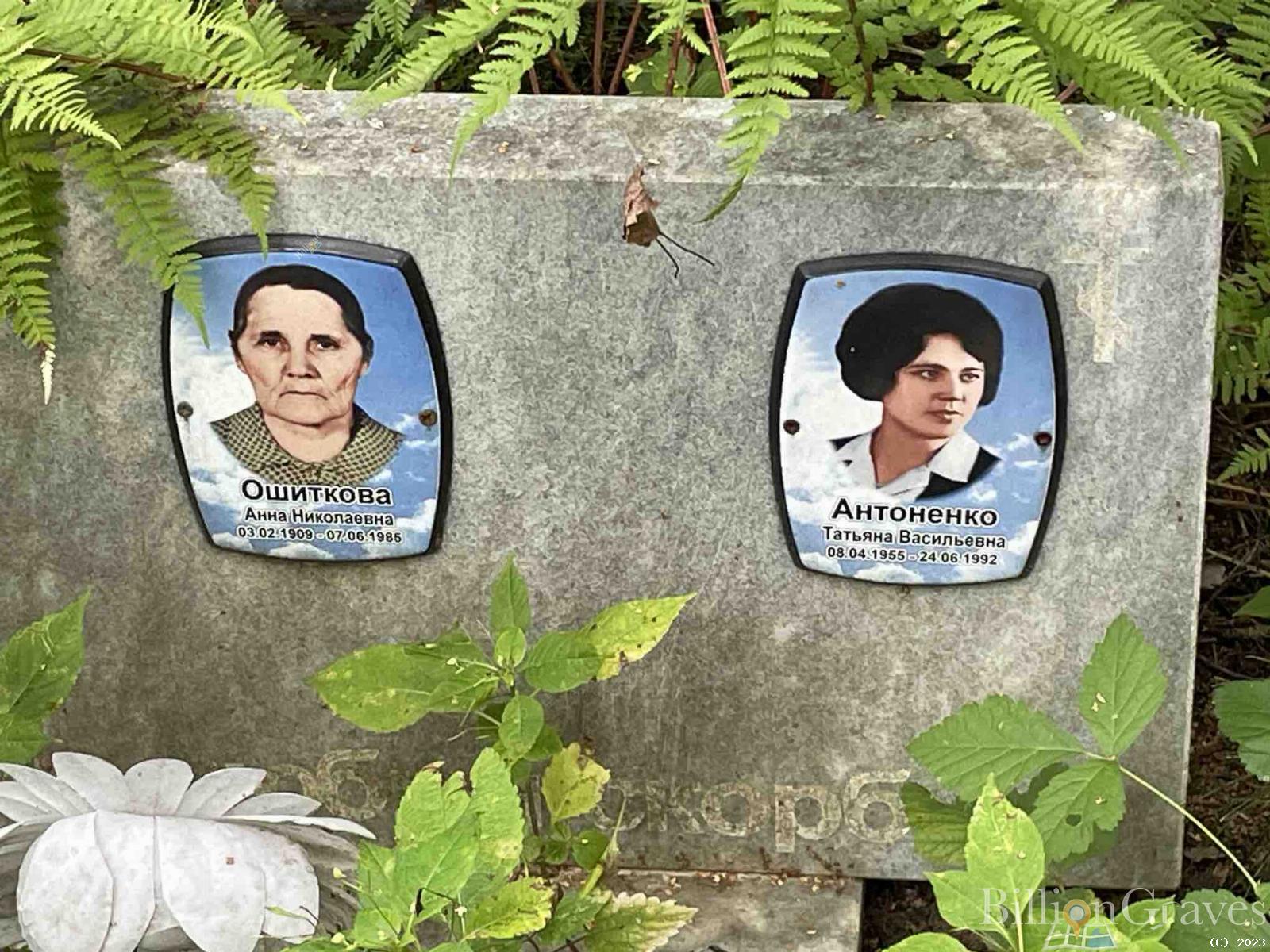 Ошиткова Анна Николаевна