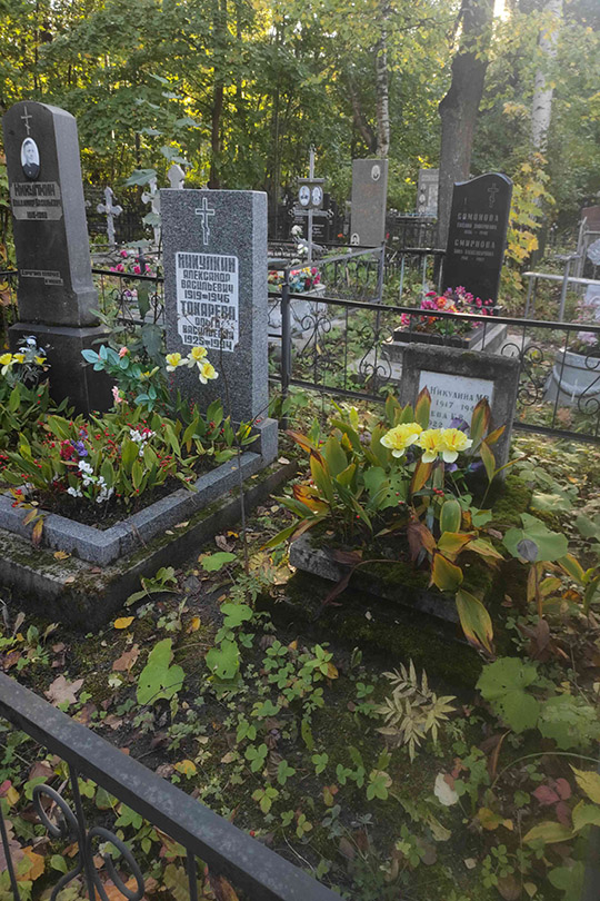 Никулина М. В.