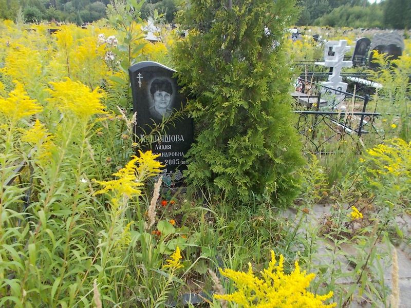 Кудряшова Лидия Александровна