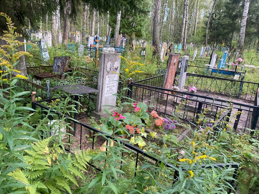 Фокеева Матрена Ивановна