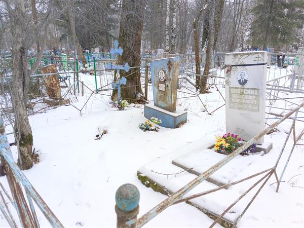 Боярских Александр Миронович