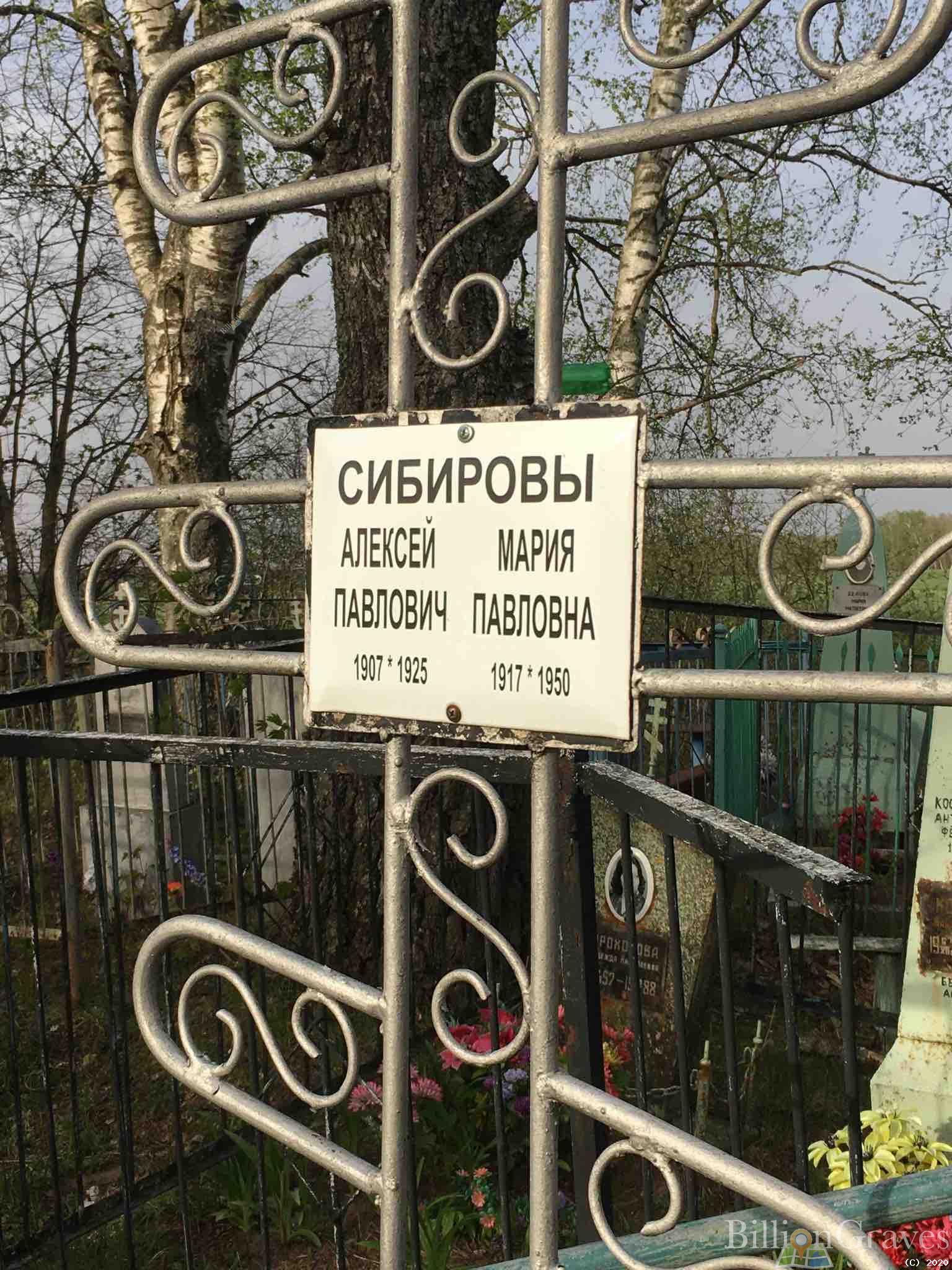 Сибирова Татьяна Павловна