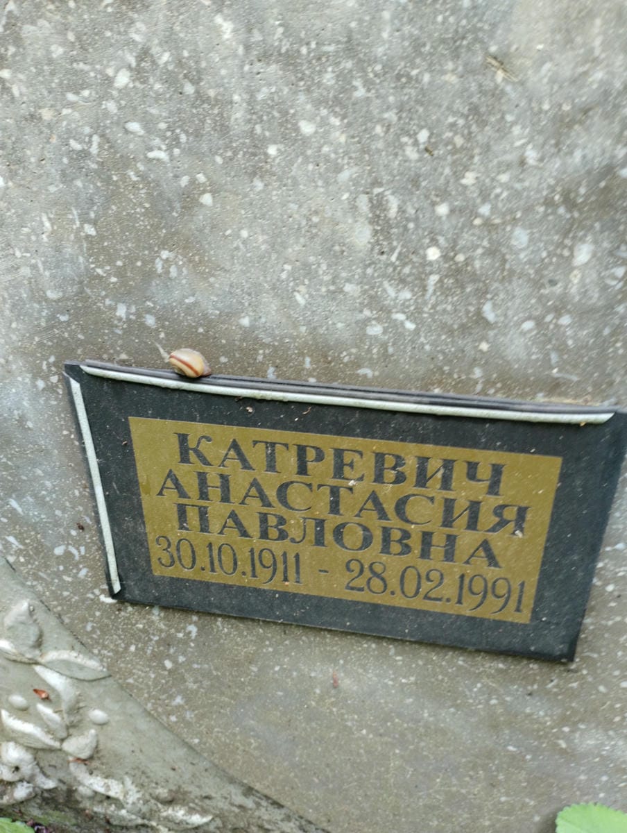 Катревич Анастасия Павловна