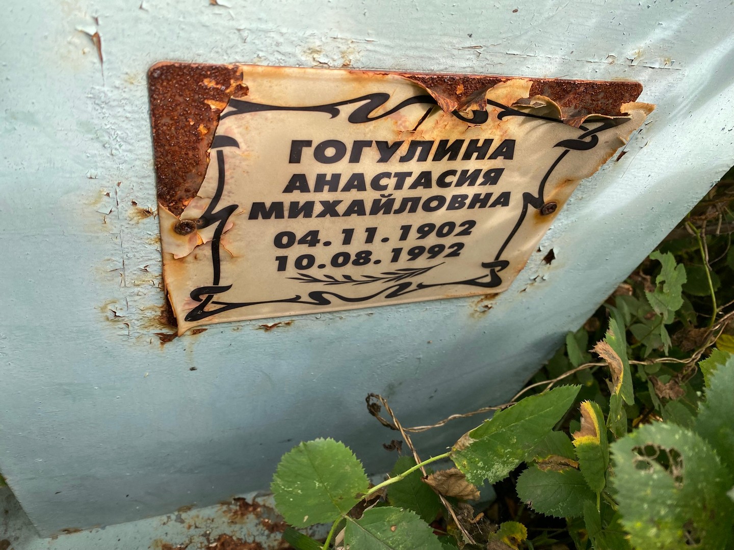 Гогулина Анастасия Михайловна
