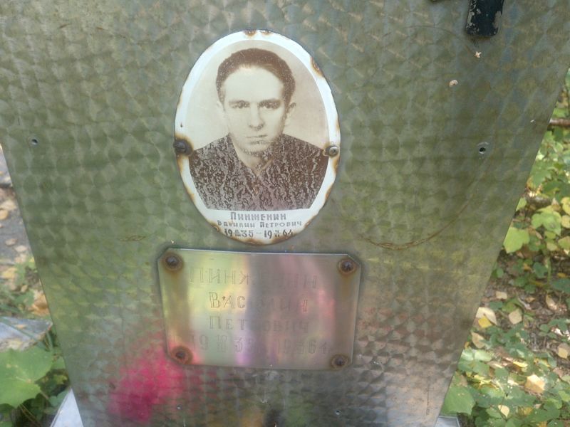 Пинженин