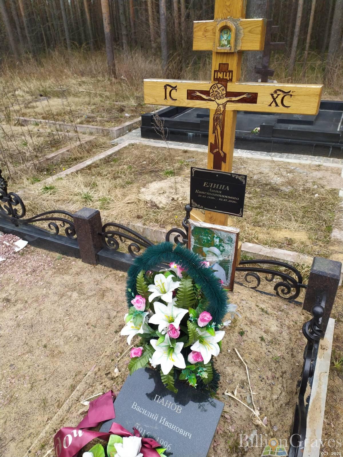 Елина Анна Константиновна