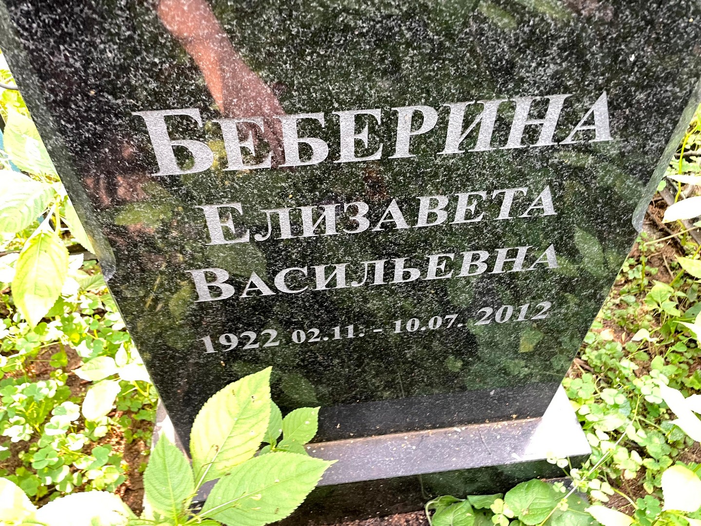 Беберина