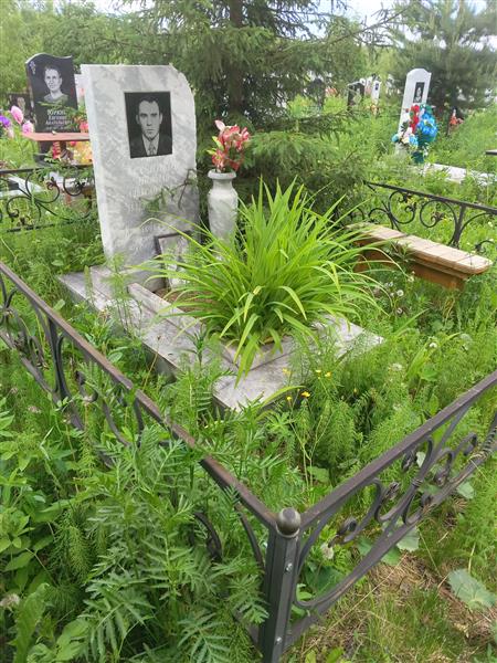 Трубников Николай Александрович