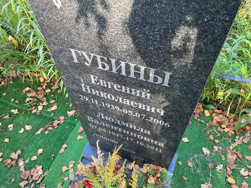 Губин