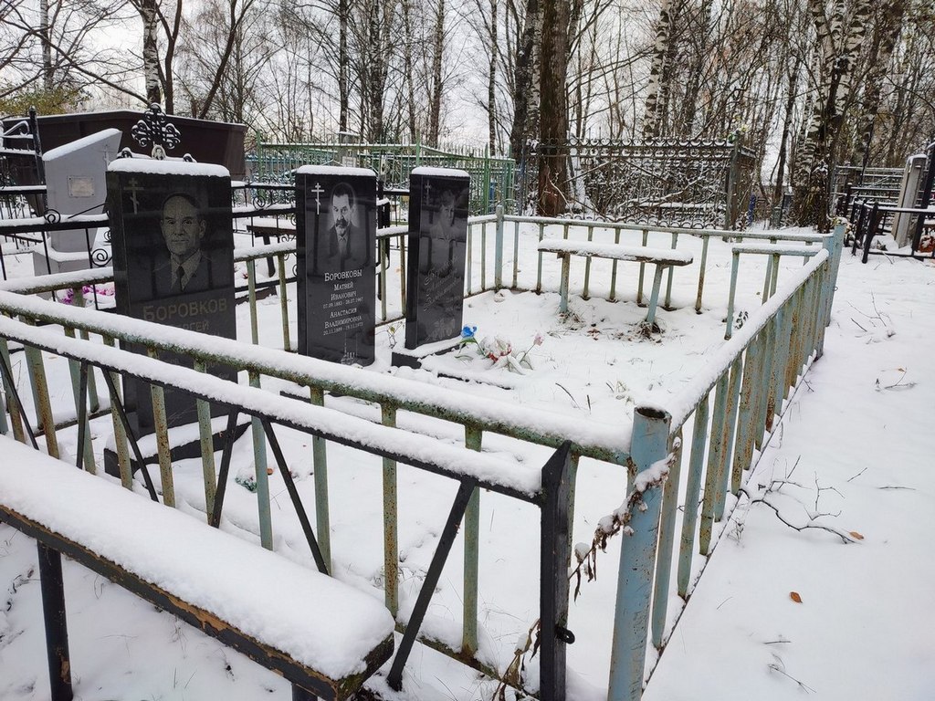 Боровкова Анастасия Владимировна