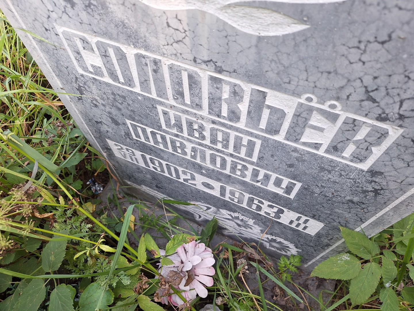 Соловьев