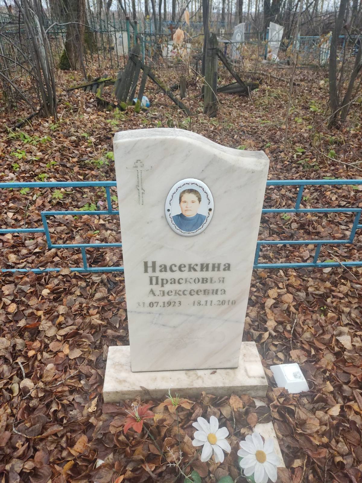 Насекина Прасковья Алексеевна