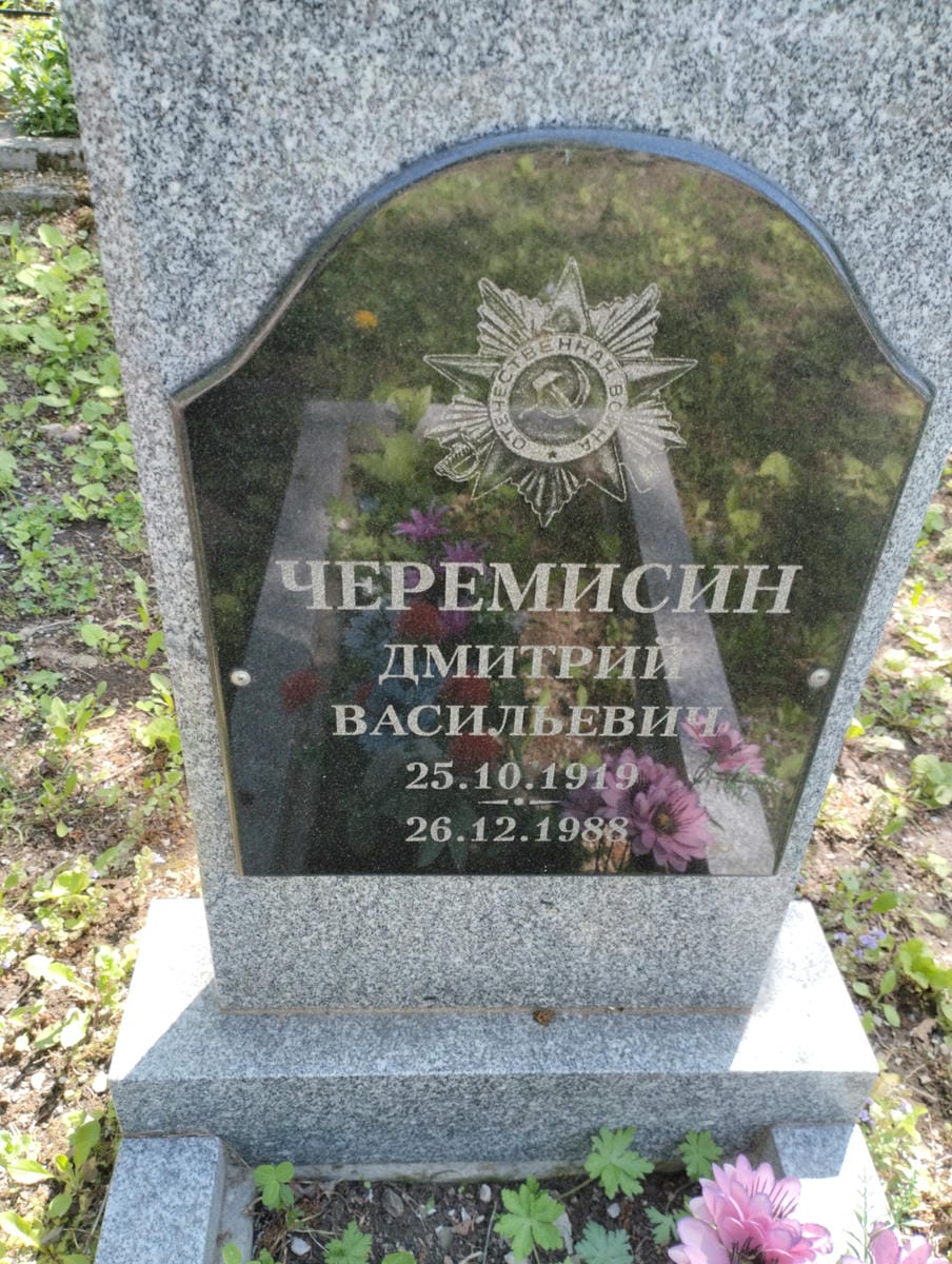 Черемисин Дмитрий Васильевич
