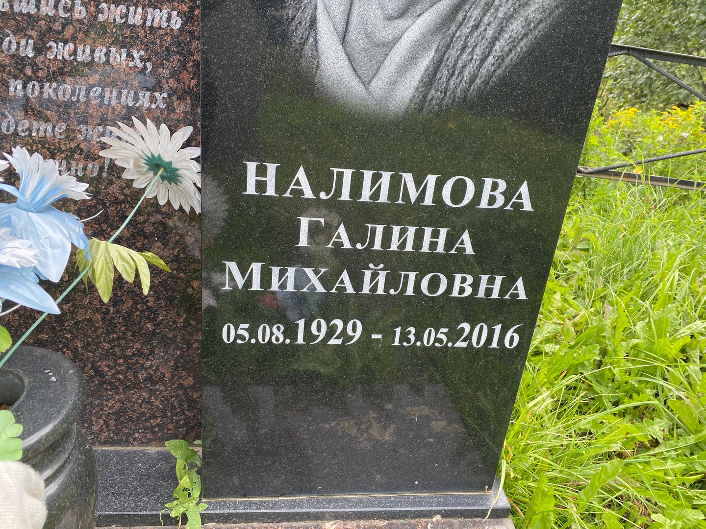 Налимова