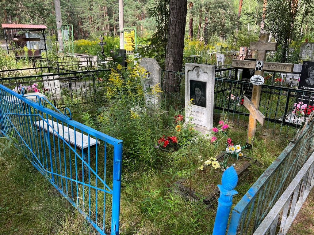 Елизаров Александр Иванович
