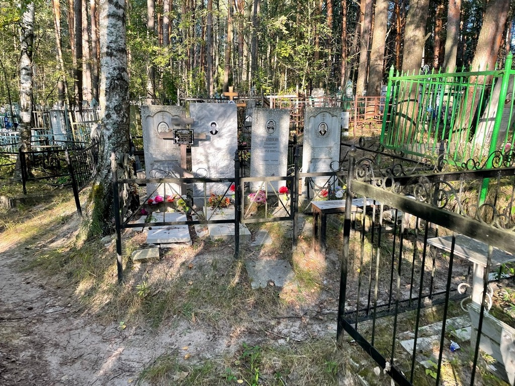 Становкина Валентина Николаевна