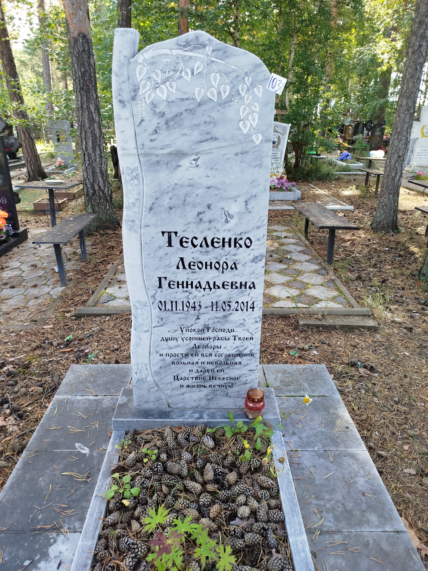 Тесленко Леонора Геннадьевна