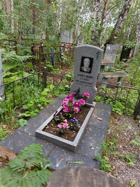 Микушин Семен Филиппович