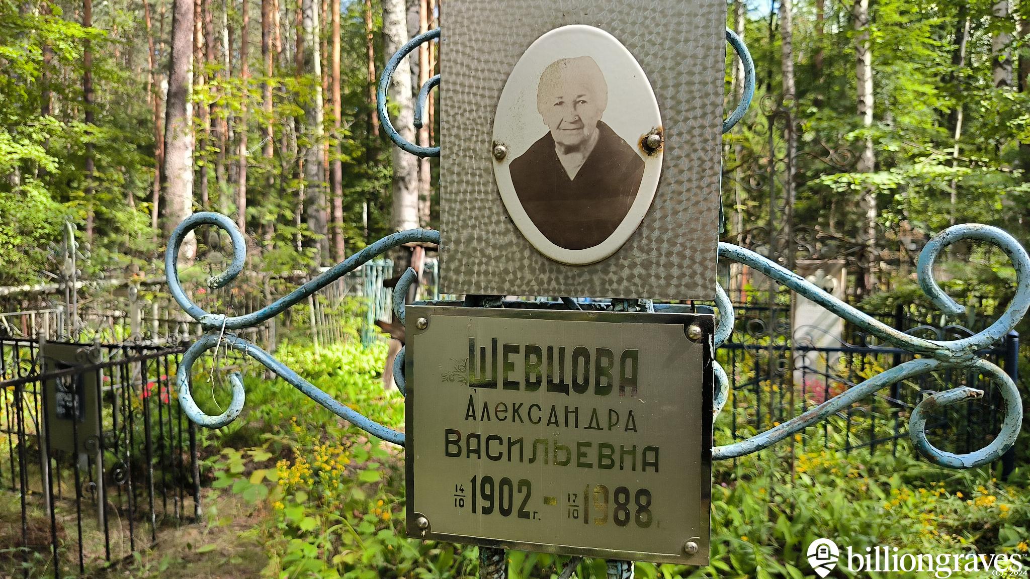 Шевцова Александра Васильевна