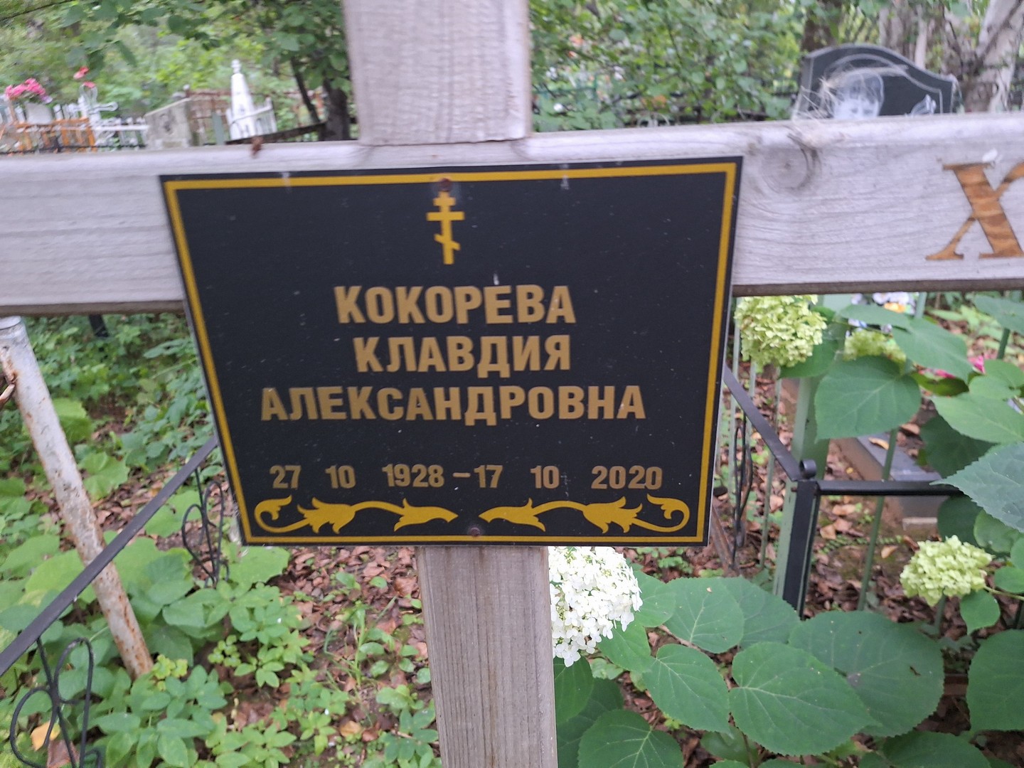 Кокорева