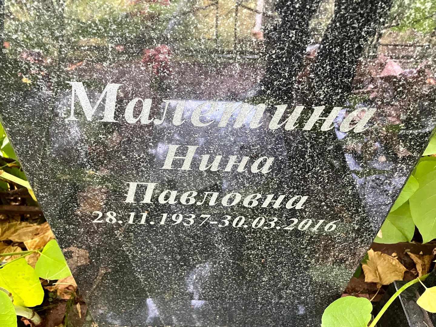 Малетина