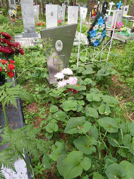Суздальцев Николай Михайлович
