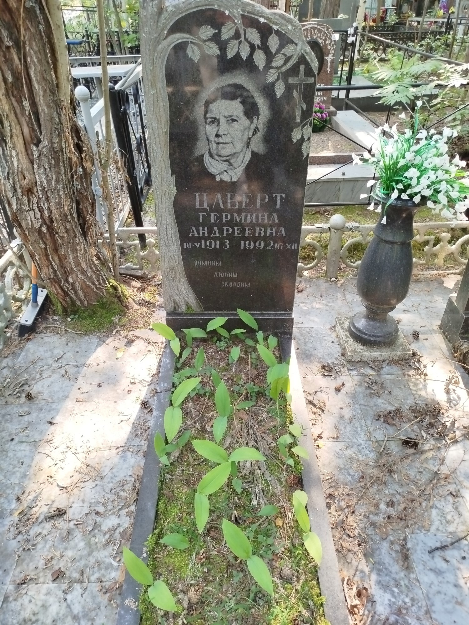 Цаберт Гермина Андреевна