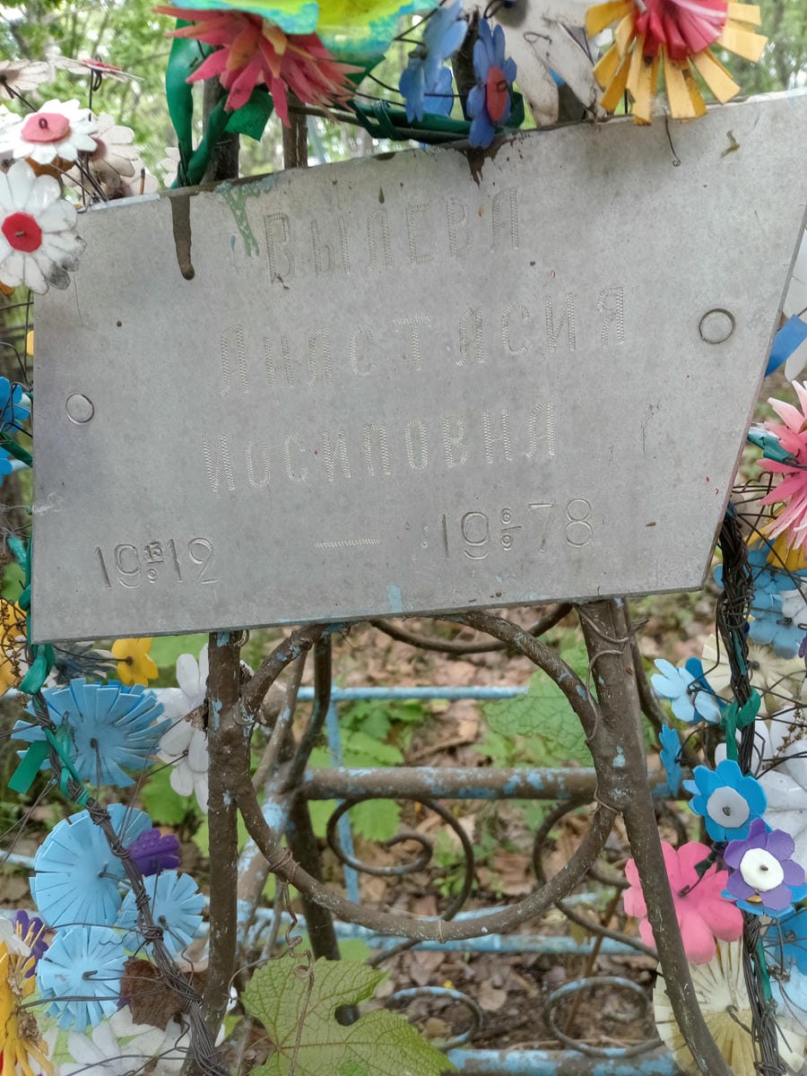Вылева Анастасия Иосифовна