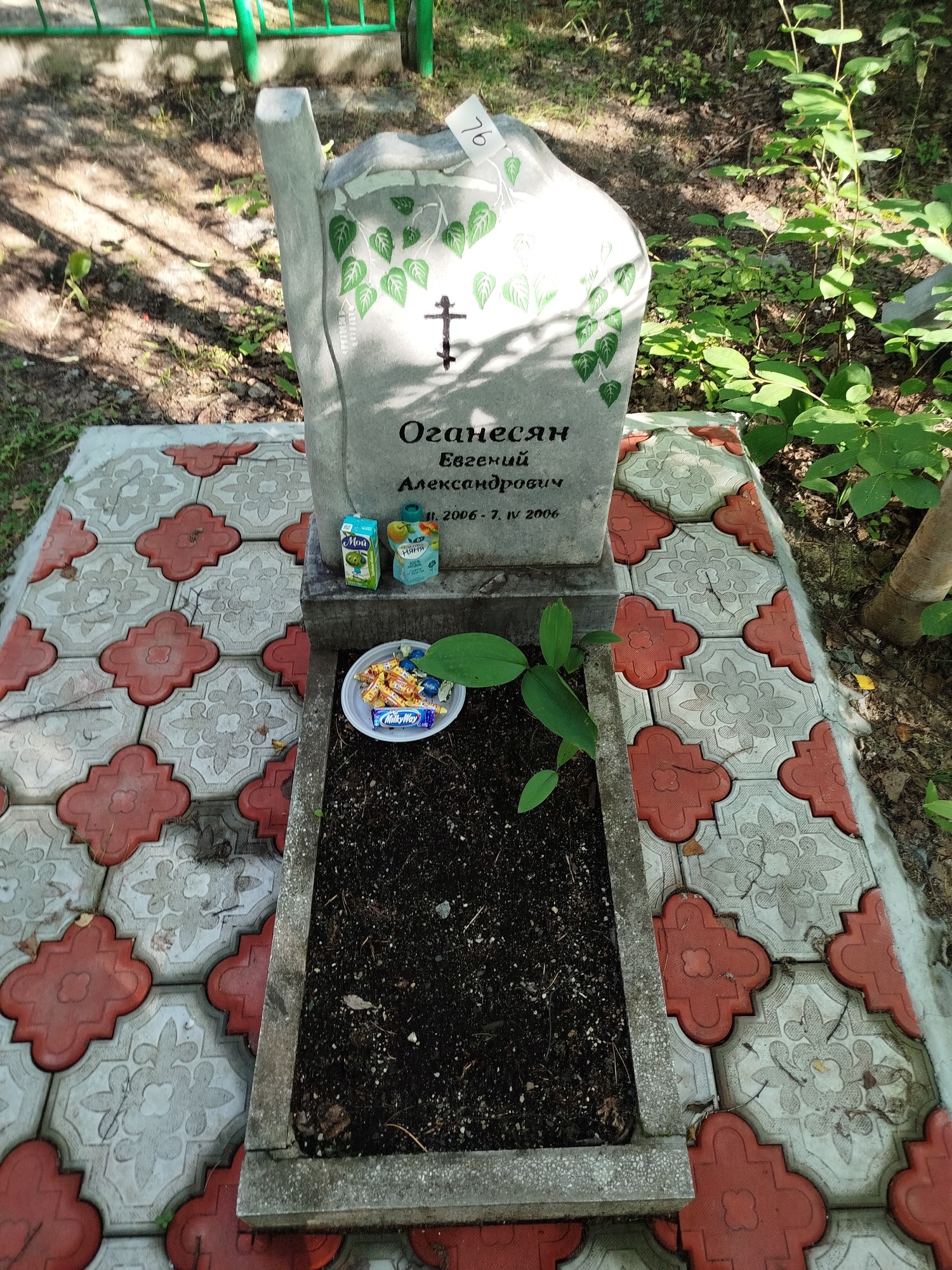 Оганесян Евгений Александрович