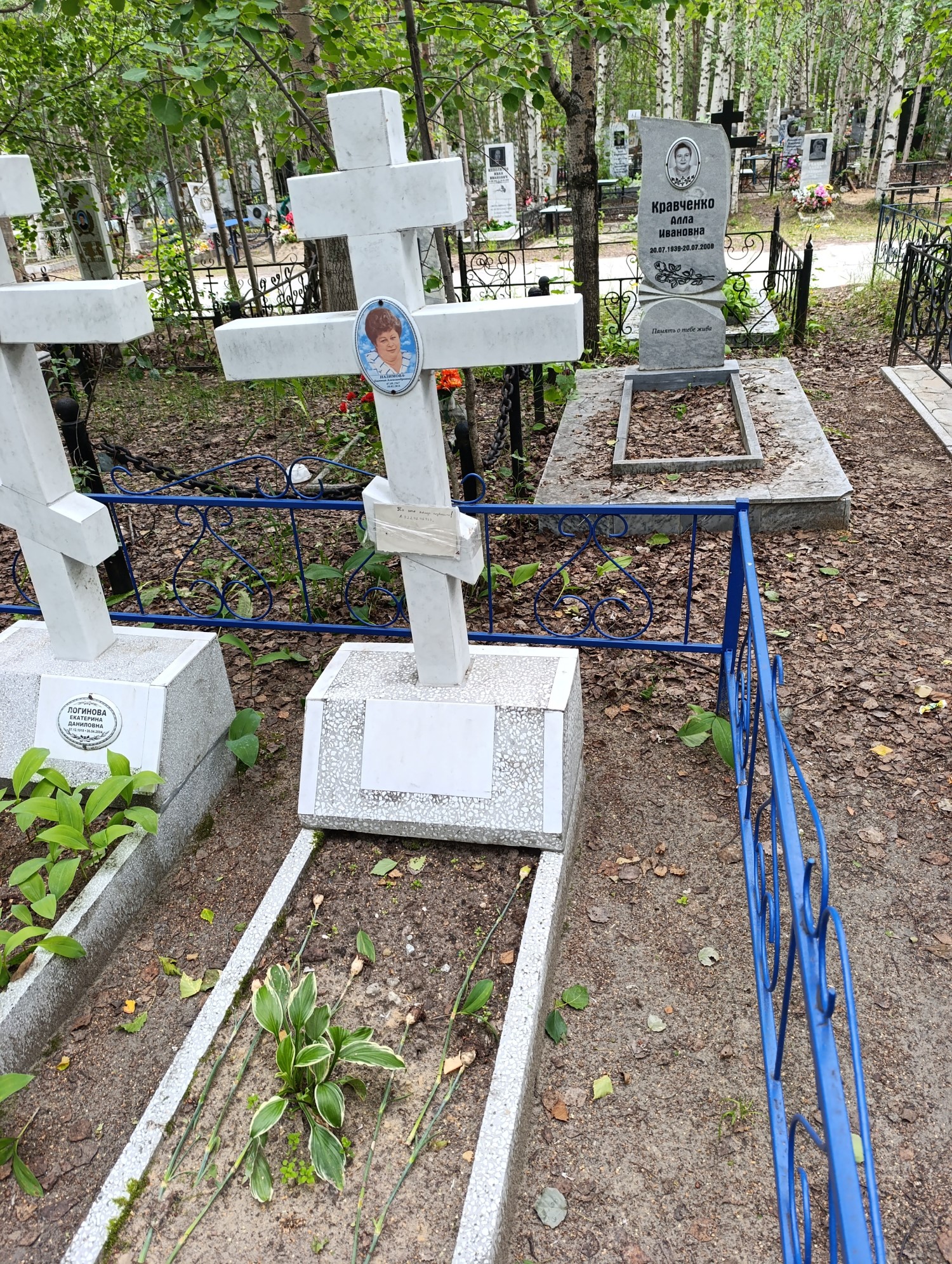 Назимова Евгения Александровна