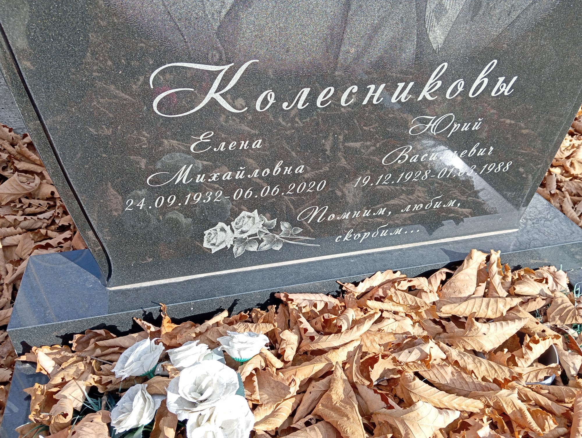 Колесникова Елена Михайловна