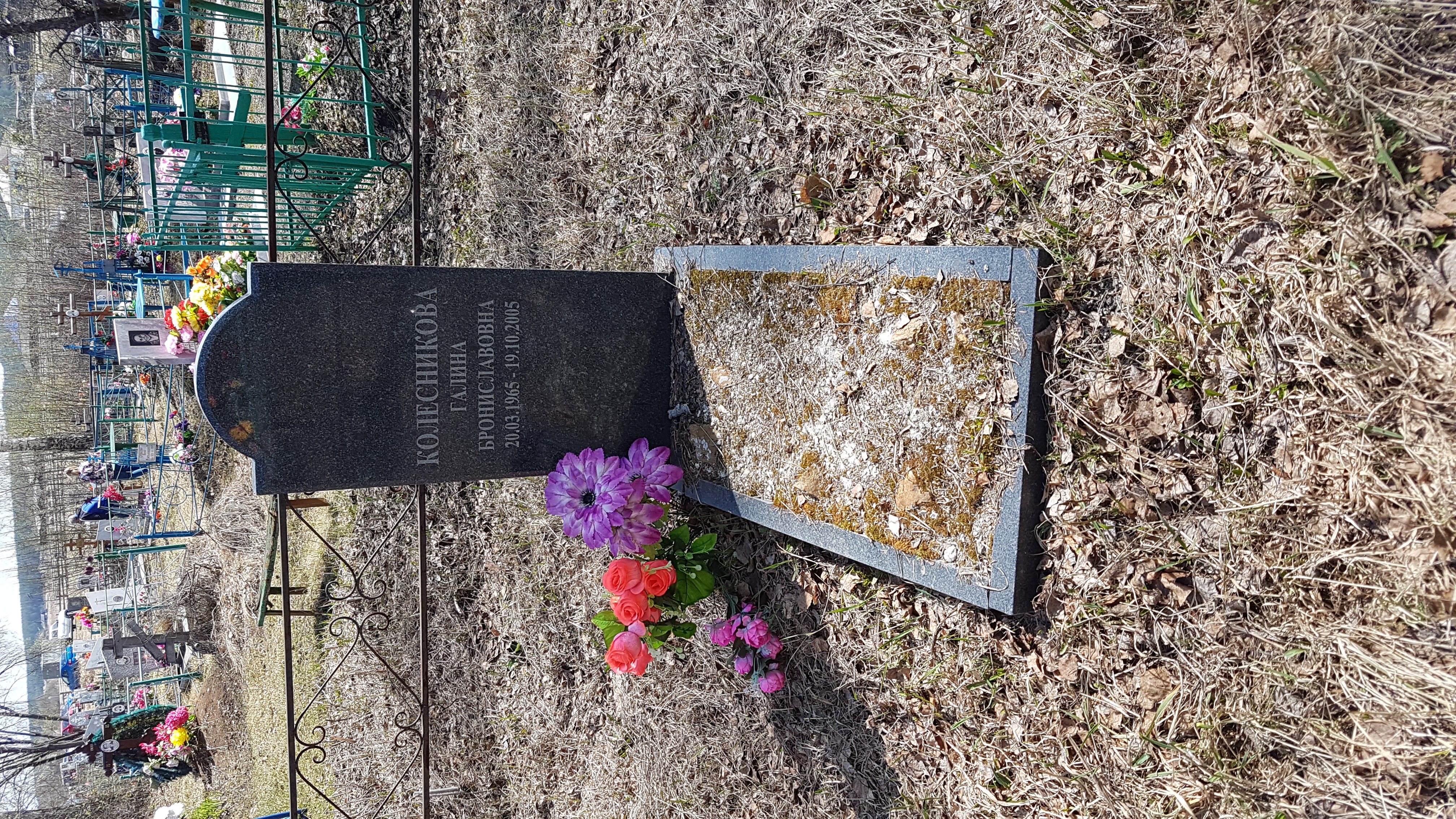 Колесникова Галина Брониславовна
