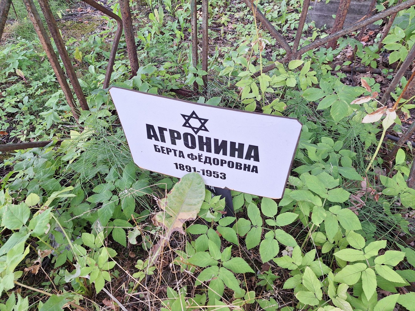 Берта Агронина Федоровна