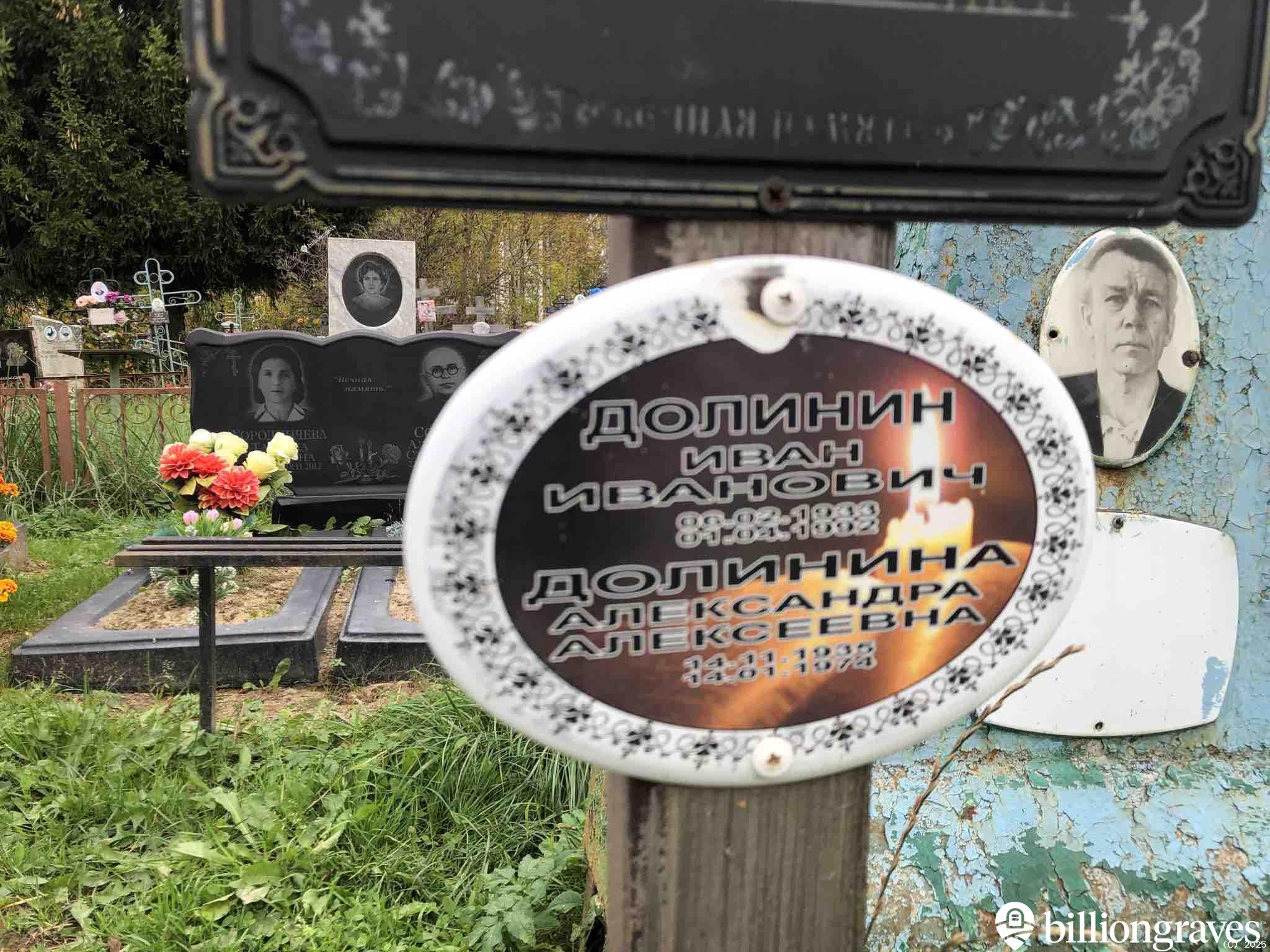 Долинина Александра Алексеевна