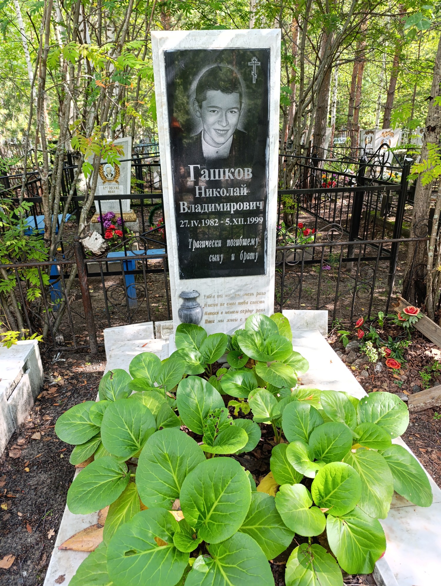Гашков Николай Владимирович
