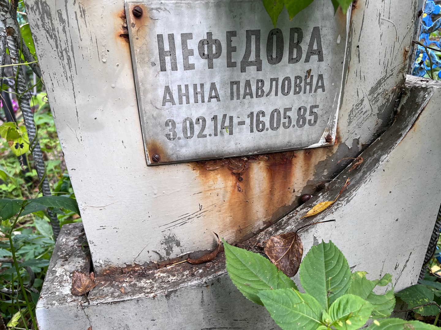 Нефедова
