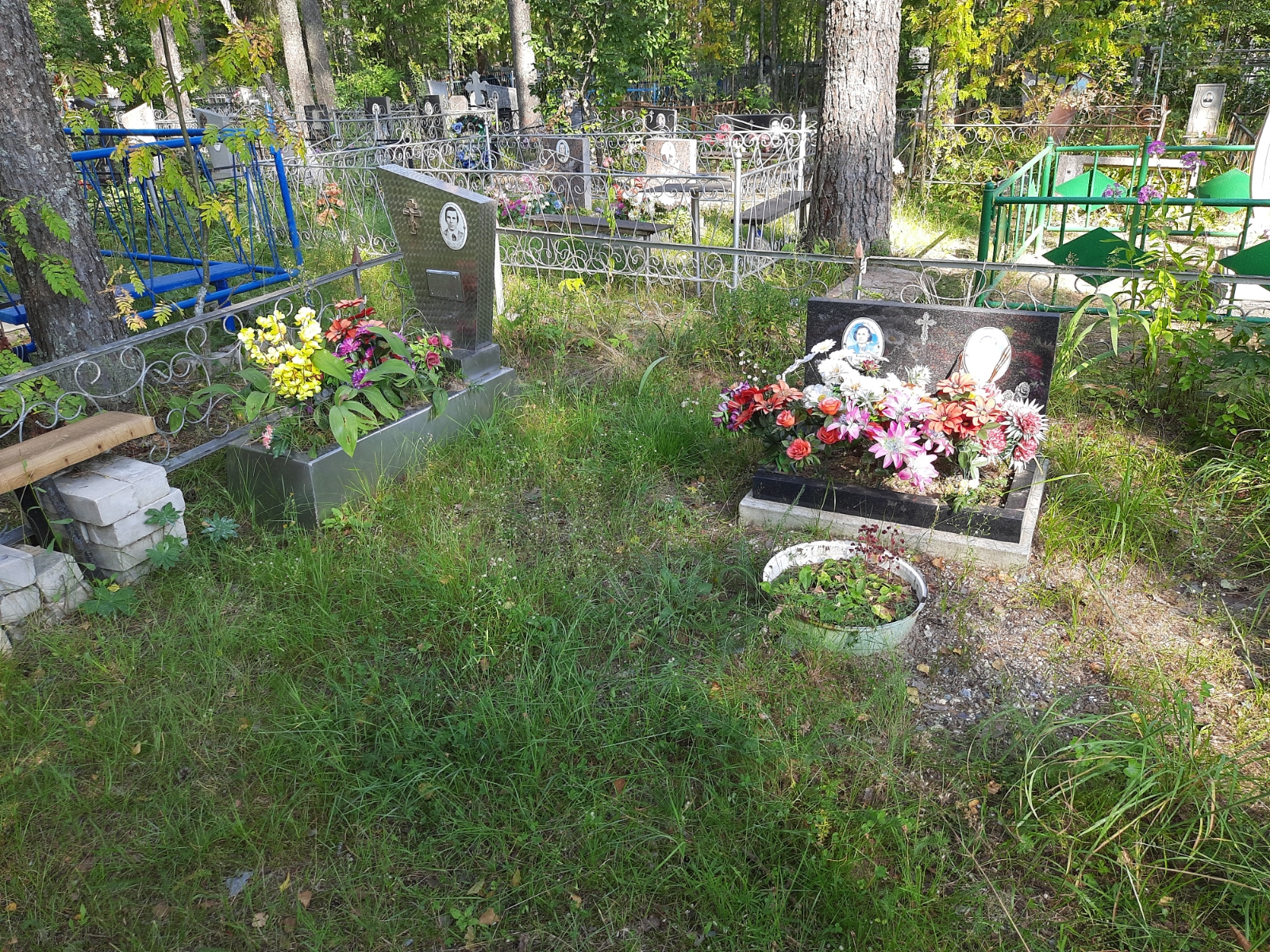 Донцов Егор Алексеевич