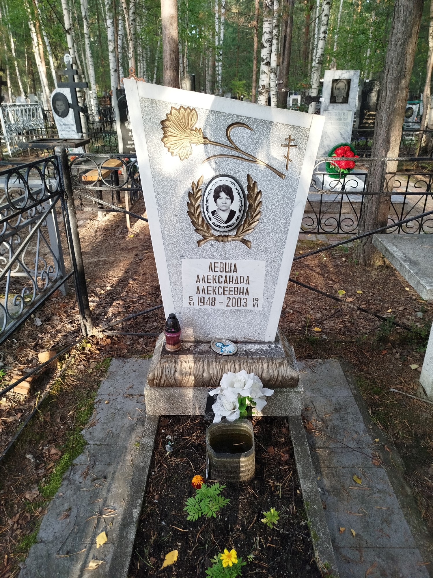Левша Александра Алексеевна