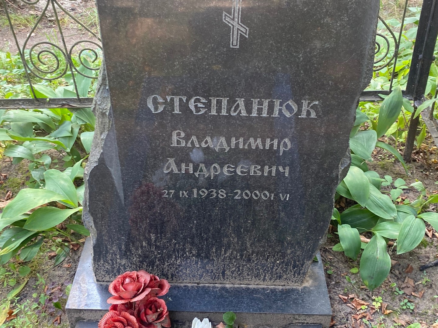 Степанюк