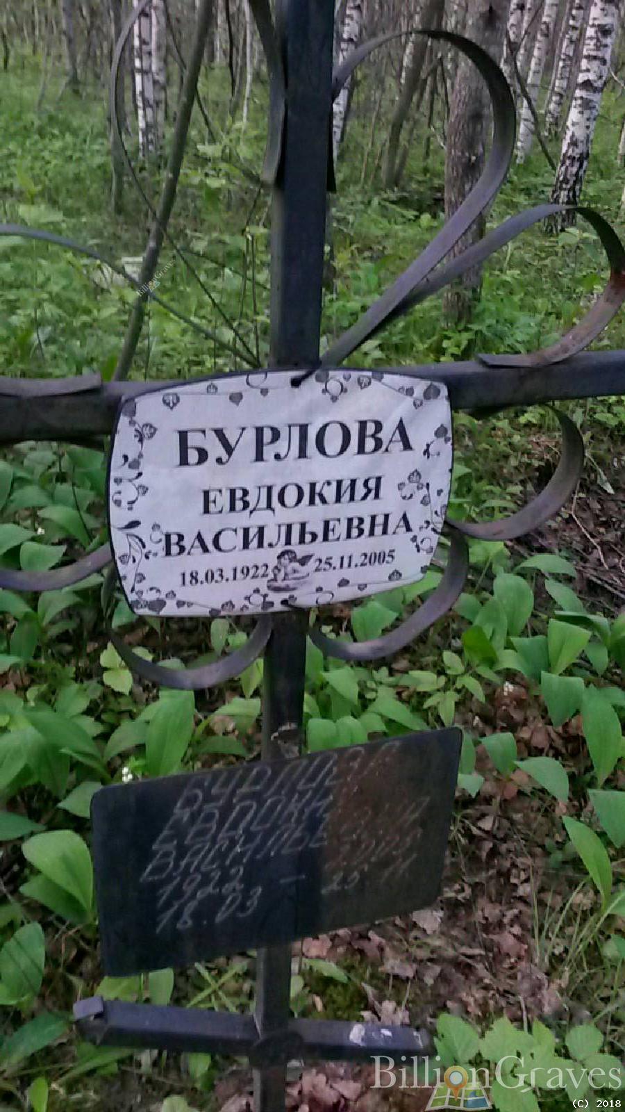 бурлова евдокия васильевна