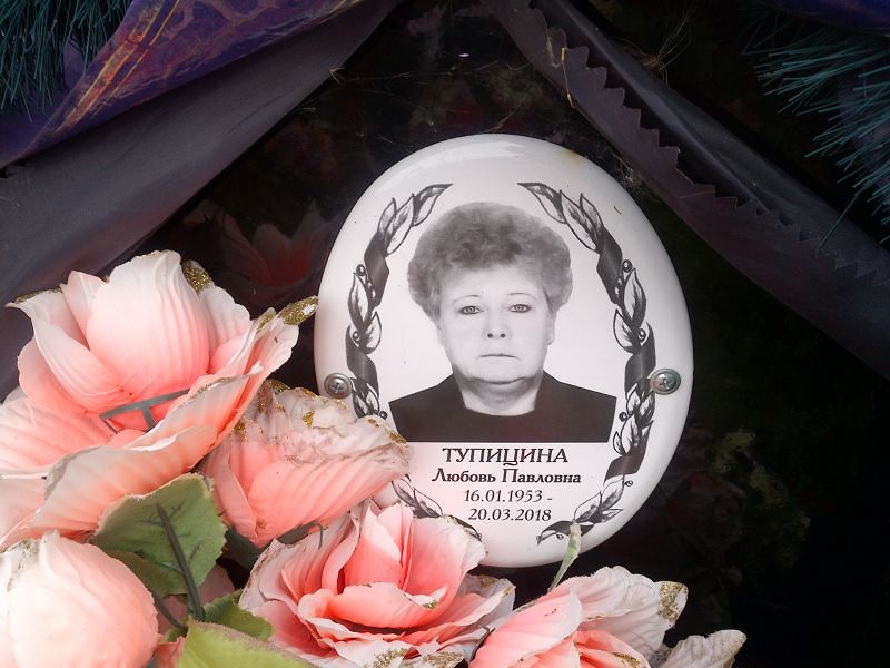 Тупицина