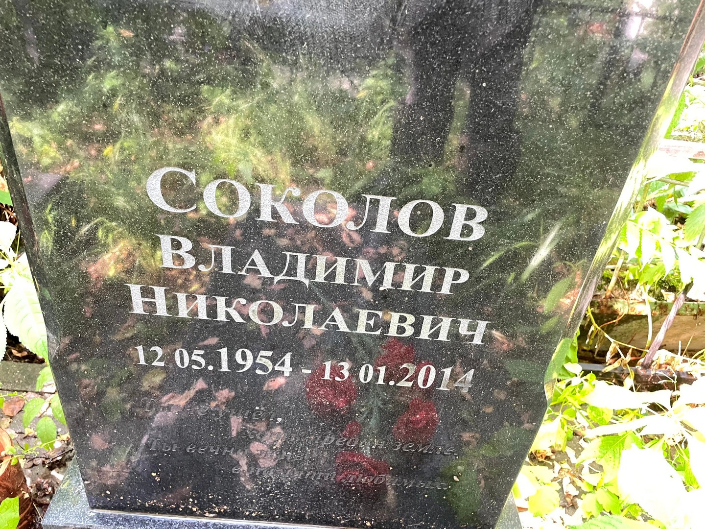 Соколов