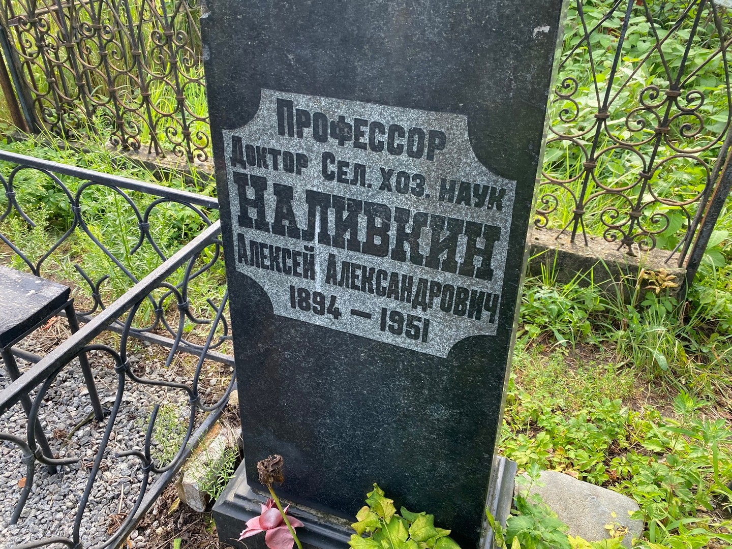 Наливкин