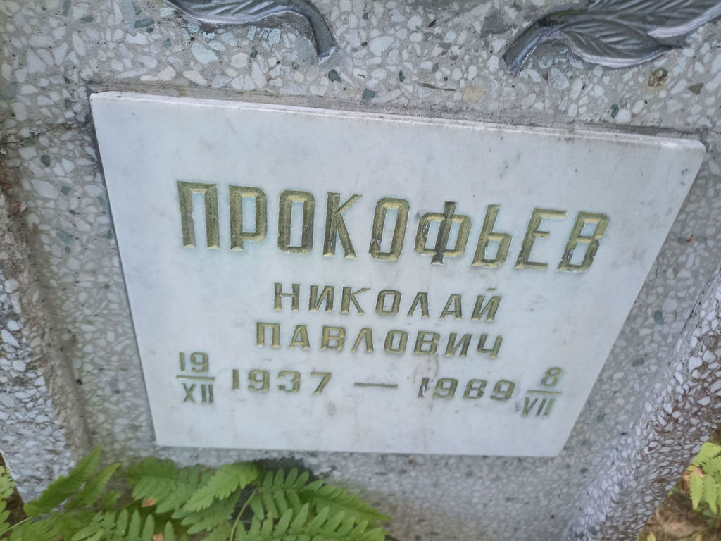 Прокофьев Николай Павлович
