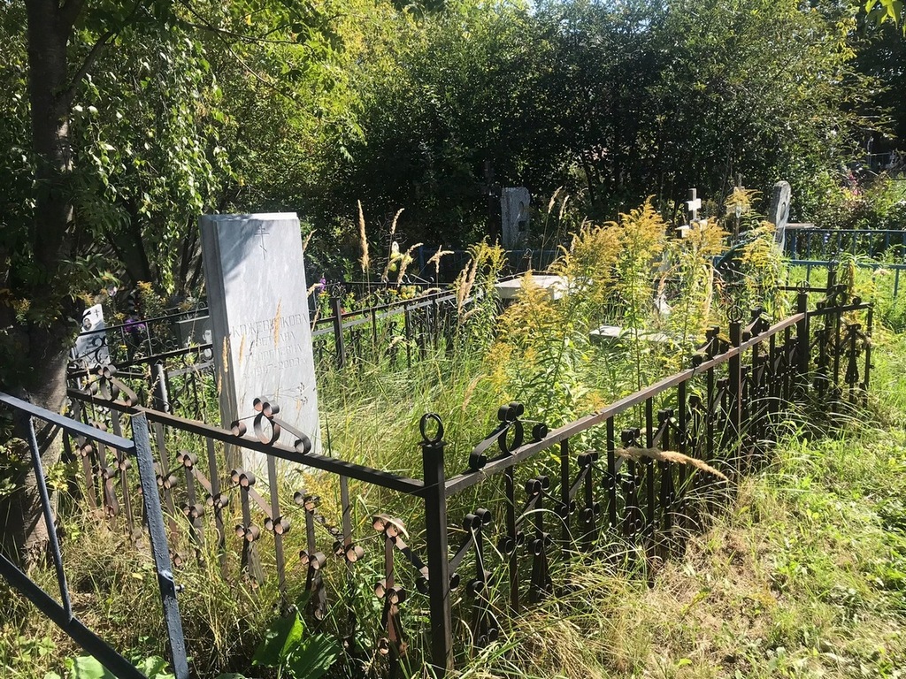 Кожевникова Светлана Георгиевна